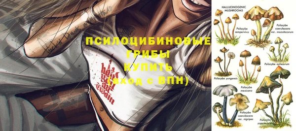 трава Алексин