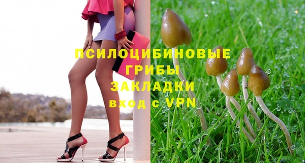 МДПВ Алзамай